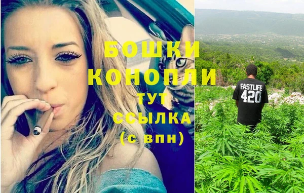 не бодяженный Михайловск